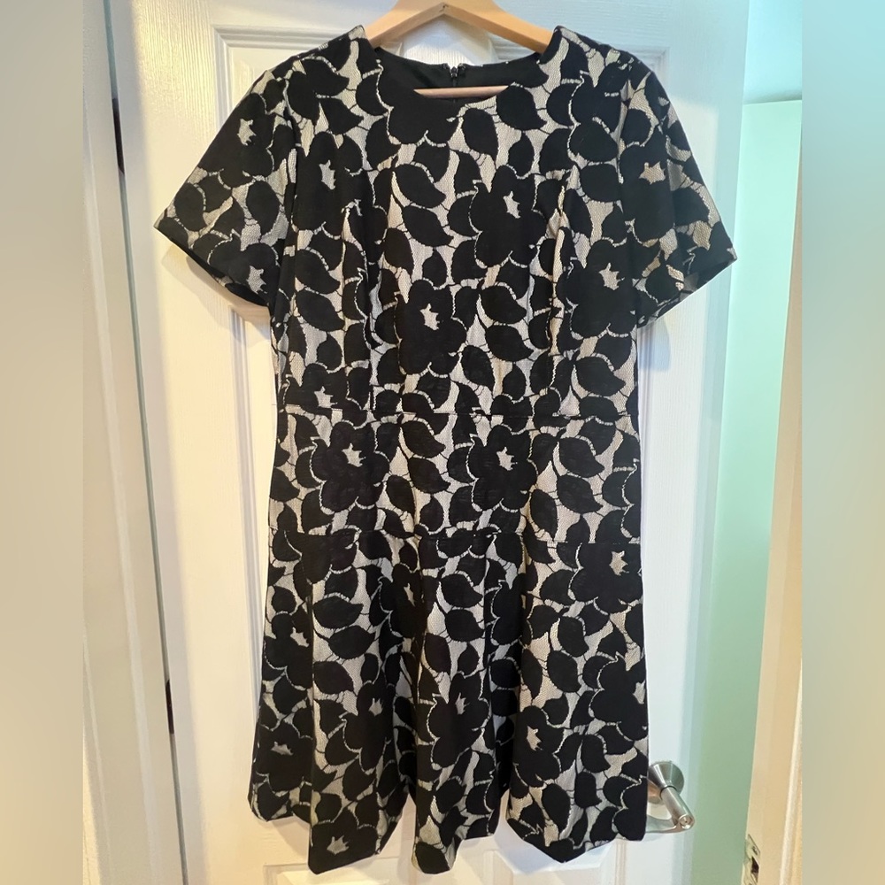 Ann Taylor Flare dress, NWT. Cream with black lace. size 14.